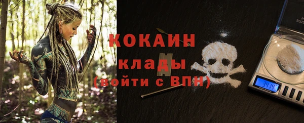 индика Волоколамск