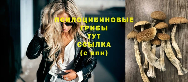 МДПВ Верея