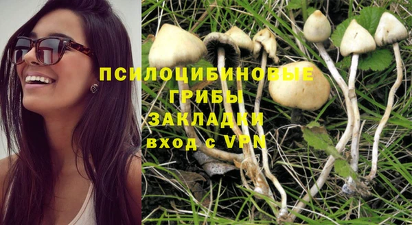 MDMA Premium VHQ Верхний Тагил