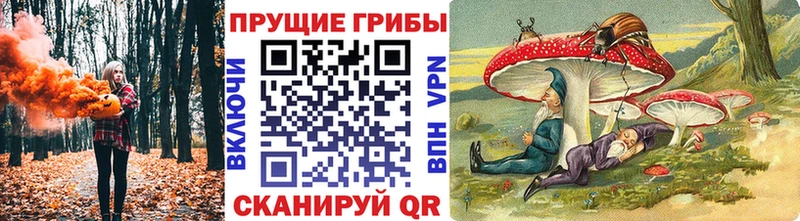 omg зеркало Печора это какой сайт Псилоцибиновые грибы ЛСД
